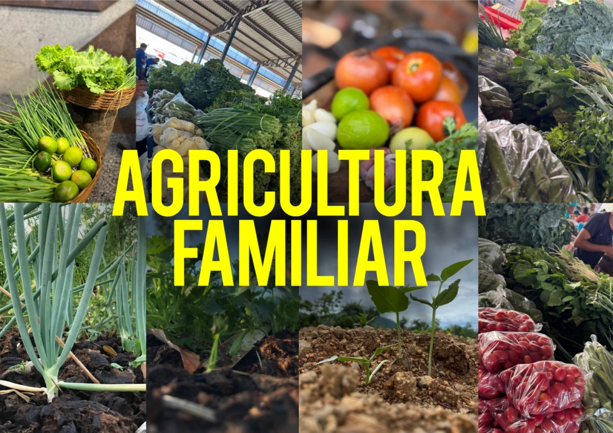 Wiston Gomes destina emendas e investe no fortalecimento dos pequenos agricultores do Tocantins